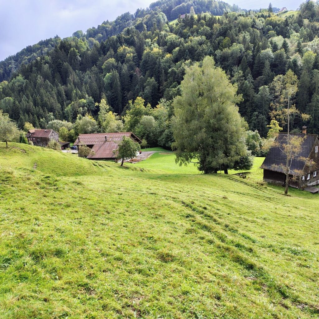 Achwis Bauernhaus und Ferienhaus